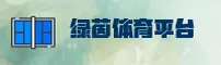 功能与服务详解