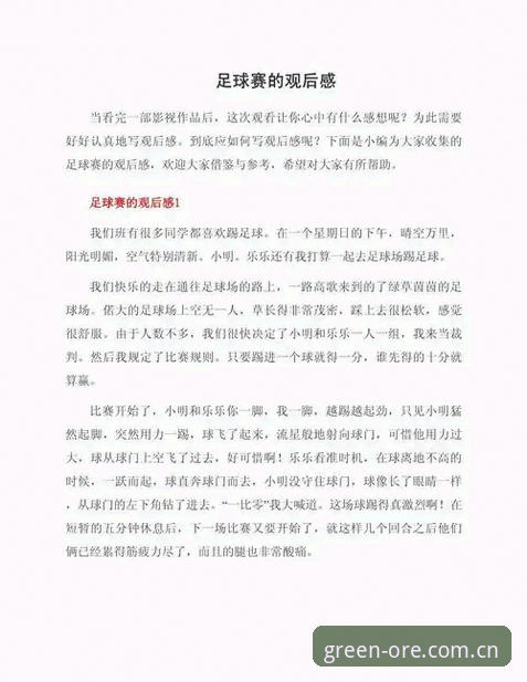 欧联杯决赛全程回顾：资深球迷分享在绿茵平台上的观赛心得
