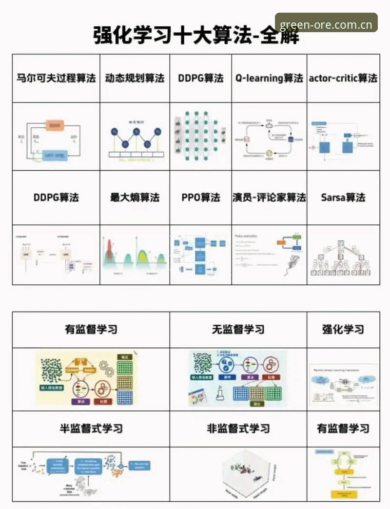 绿茵有什么功能评测 5个维度深度解析绿茵功能:从社交互动到数据管理的全面评测